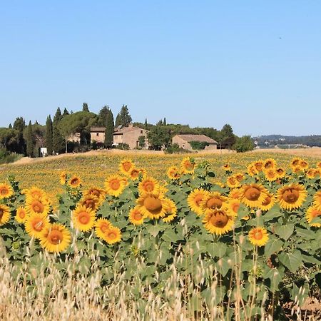 Il Poggio B&B Ginestra Fiorentina Exteriör bild