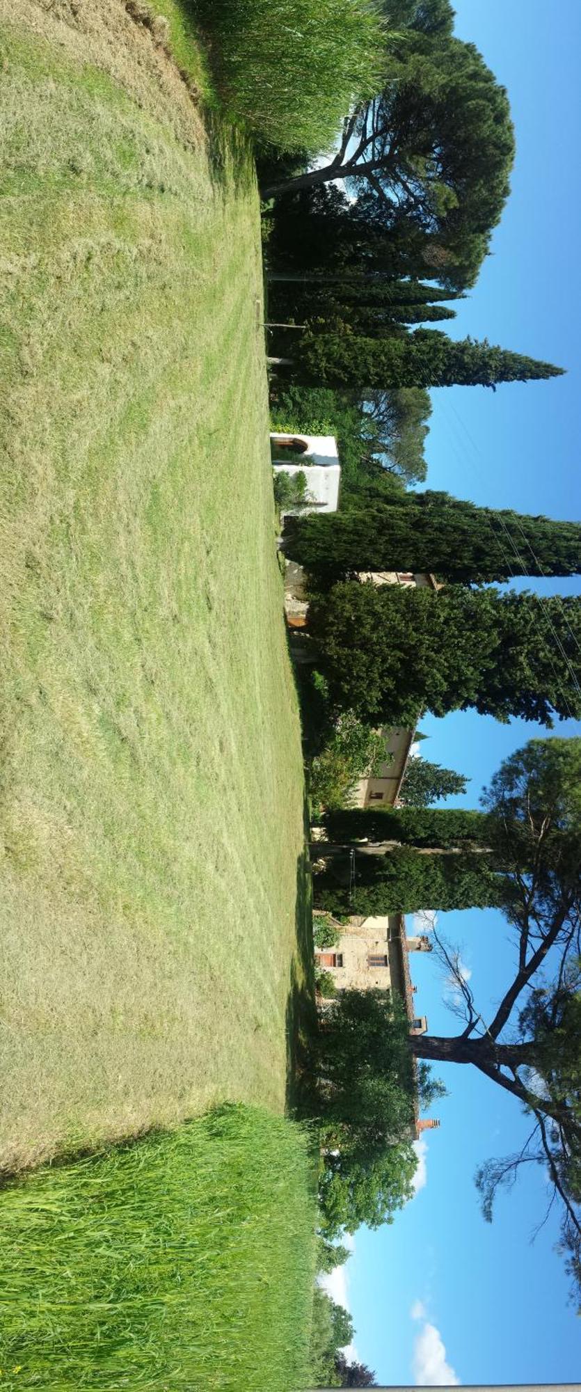 Il Poggio B&B Ginestra Fiorentina Exteriör bild