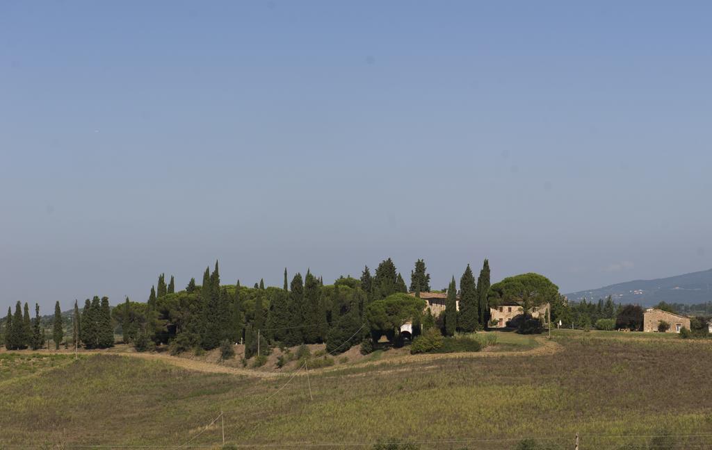 Il Poggio B&B Ginestra Fiorentina Exteriör bild