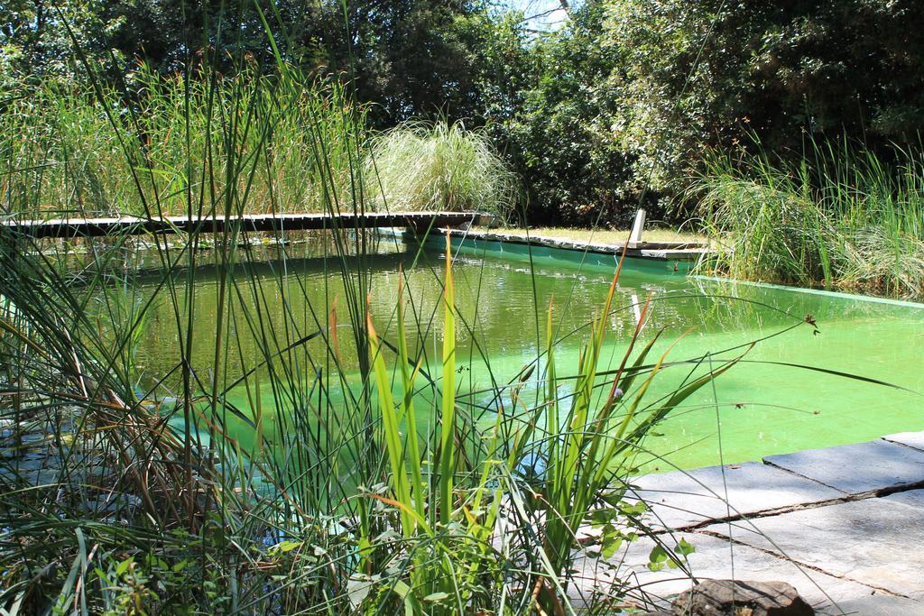 Il Poggio B&B Ginestra Fiorentina Exteriör bild